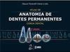 Atlas de anatomia de dentes permanentes: Coroa dental