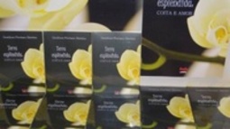 Terra esplêndida: coita e amor