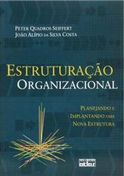 ESTRUTURAÇÃO ORGANIZACIONAL: Planejando e Implantando uma Nova Estrutura