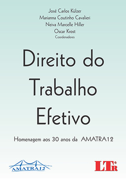 Direito do trabalho efetivo: Homenagem aos 30 anos da AMATRA 12