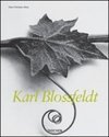 Karl Blossfeldt - Importado