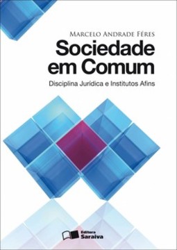 Sociedade em comum: disciplina jurídica e institutos afins