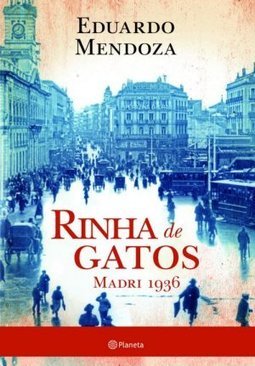RINHA DE GATOS