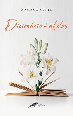 Dicionário de afetos