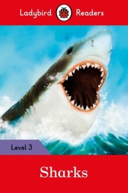 Sharks - 3
