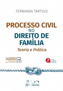 Processo civil no direito de família: teoria e prática