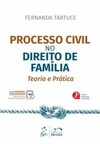 Processo civil no direito de família: teoria e prática