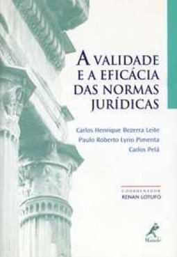 A Validade e a Eficiência das Normas Jurídicas