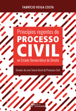 Princípios regentes do processo civil no Estado democrático de direito: ensaios de uma teoria geral do processo civil