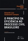 O princípio da eficiência no processo civil brasileiro