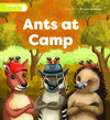Ants at camp