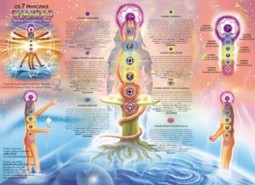 Mapa dos Chakras: os 7 Chakras - Centros Energéticos Vitais