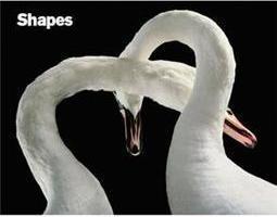 Shapes