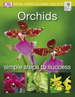 Orchids