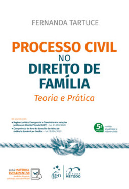 Processo civil no direito de família - Teoria e prática
