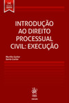Introdução ao direito processual civil: execução