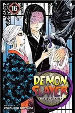 Demon Slayer - Kimetsu no Yaiba - 16