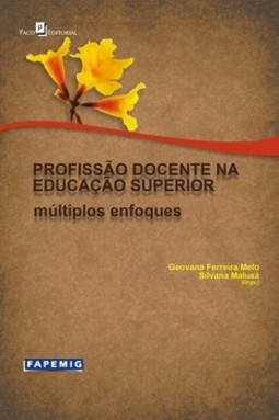 Profissão docente na educação superior: múltiplos enfoques