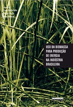 Uso da biomassa para produção de energia na indústria brasileira