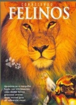 Conhecendo Felinos
