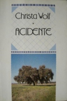 Acidente: Notícias de Um Dia (Ficção Universal #66)