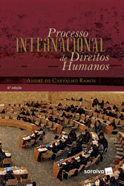 Processo internacional de direitos humanos