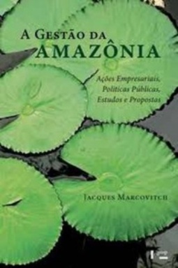 A Gestão da Amazônia