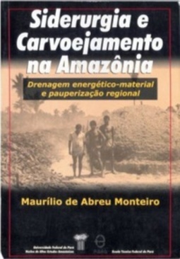 Siderurgia e carvoejamento na Amazônia