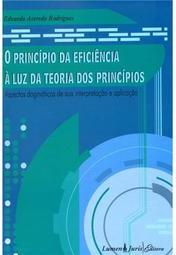 O Princípio da Eficiência à Luz da Teoria dos Princípios
