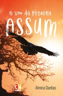 O voo da pequena Assum