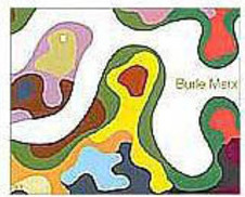 Burle Marx - IMPORTADO