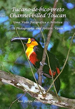 Uma Visão Fotográfica e Artística A Photographic and Artistic Vision.