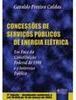 Concessões de Serviços Públicos de Energia Elétrica