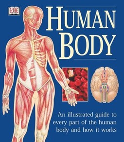 The Human Body: An Illustrated Guide to Every Part of the Human Body and How It Works