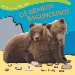 Os gêmeos bagunceiros