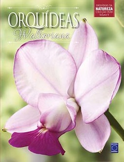 Orquídeas walkeriana