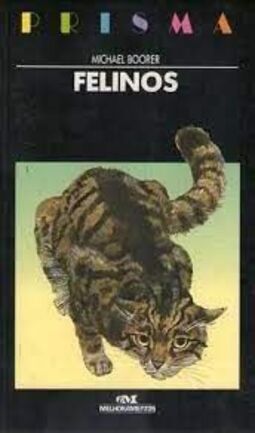 Felinos