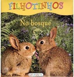 No Bosque