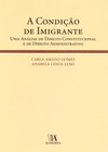 A condição de imigrante: uma análise de direito constitucional e de direito administrativo