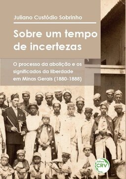 Sobre um tempo de incertezas: o processo da abolição e os significados da liberdade em Minas Gerais (1880-1888)