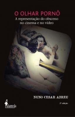 O olhar pornô: a representação do obsceno no cinema e no vídeo