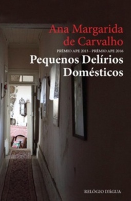 Pequenos delírios domésticos