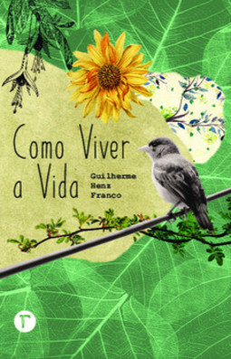Como viver a vida