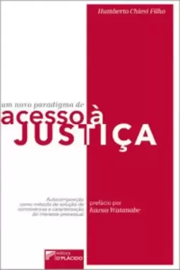 Um novo paradigma de acesso à justiça