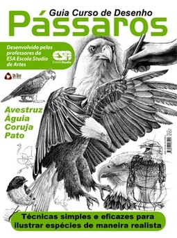 Guia curso de desenho: pássaros