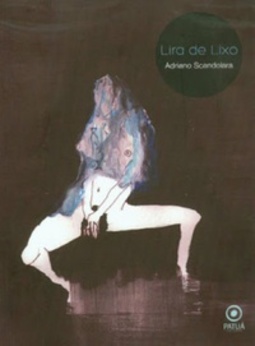 Lira de lixo