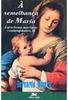 À Semelhança de Maria: Catecismo Mariano Contemplativo II