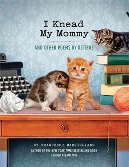 I KNEAD MY MOMMY: AND OTHER POEMS BY KITTENS