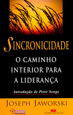 Sincronicidade: o Caminho Interior para a Liderança