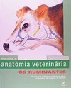 Anatomia Veterinária: os Ruminantes